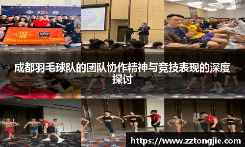 成都羽毛球队的团队协作精神与竞技表现的深度探讨